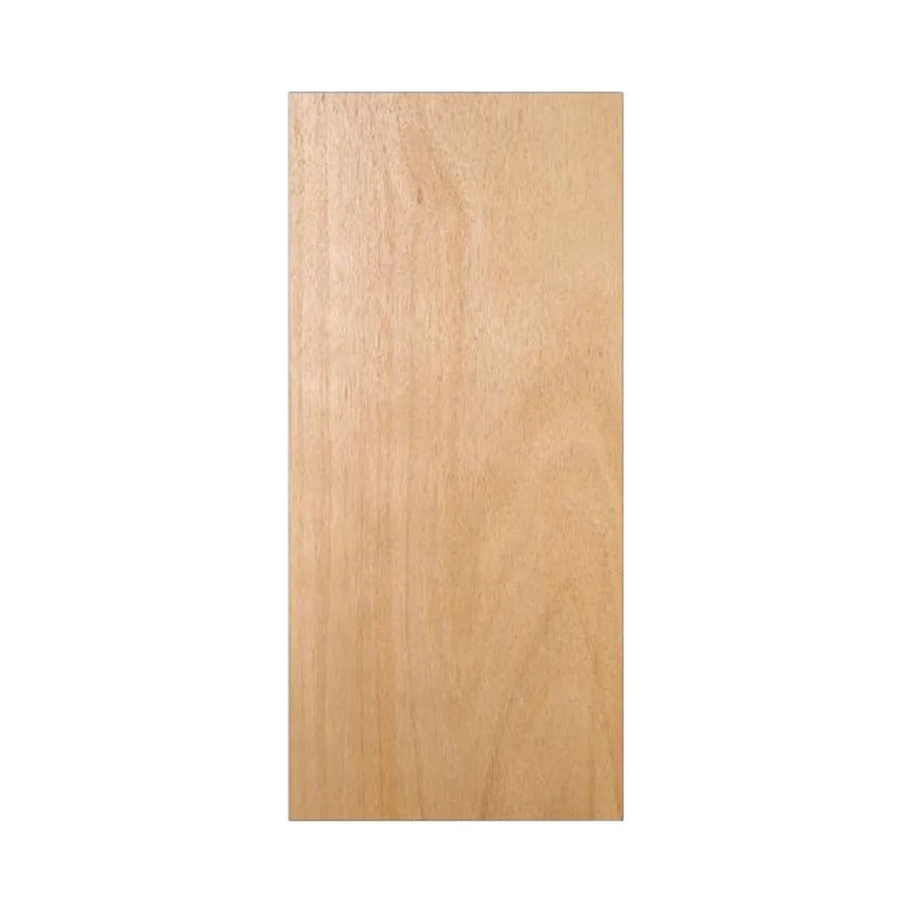 A 32 in. x 80 in. Unfinished Flush Hardwood Interior Door Slab (hollow-core) by Go Build, The Fastest Way To Build, shown vertically against a plain white background with light-colored, smooth wood and natural grain patterns.